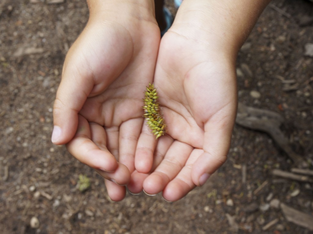 A Bowl Full of Simple | Hiking with Kids