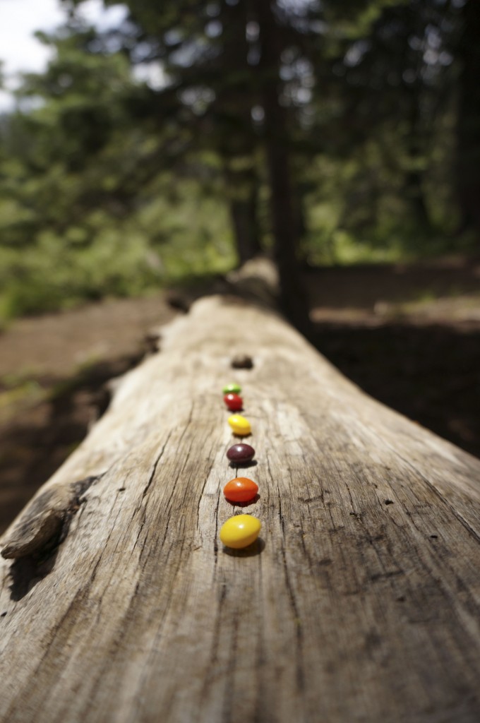 A Bowl Full of Simple | Hiking with Kids