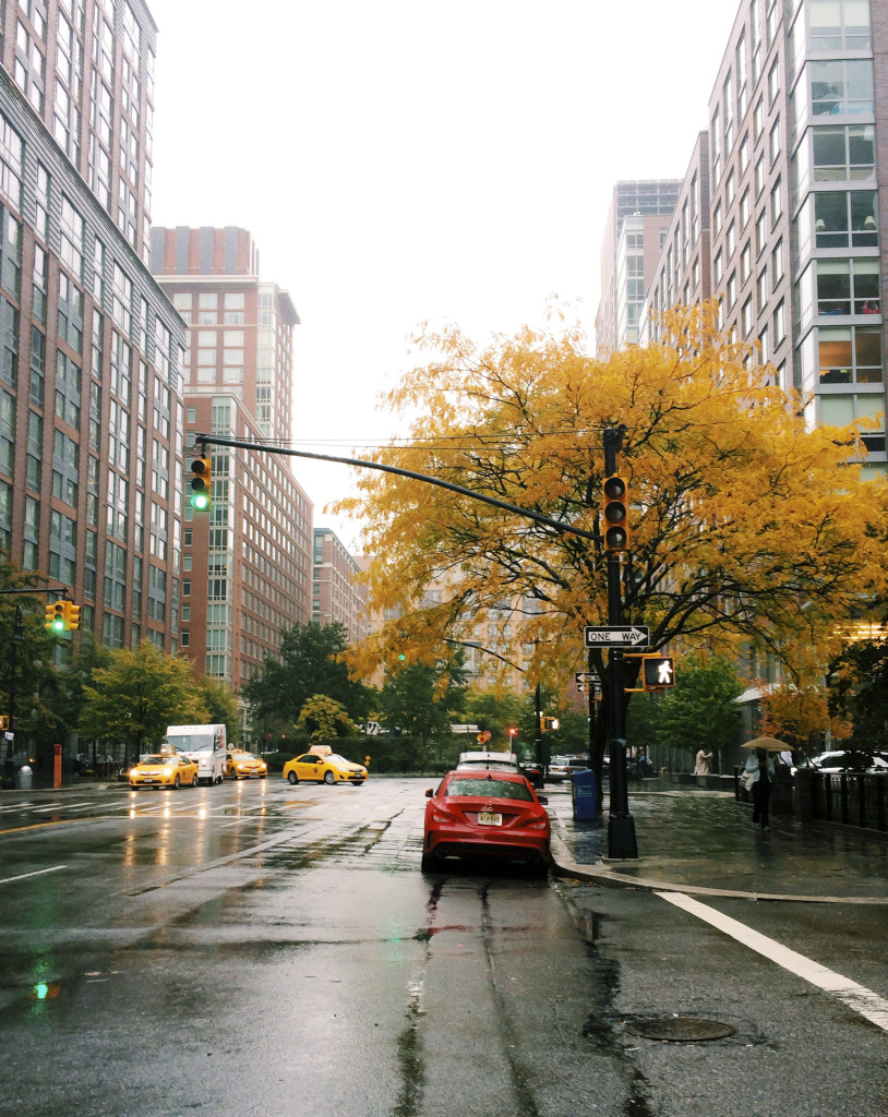 A Bowl Full of Simple | Autumn in New York