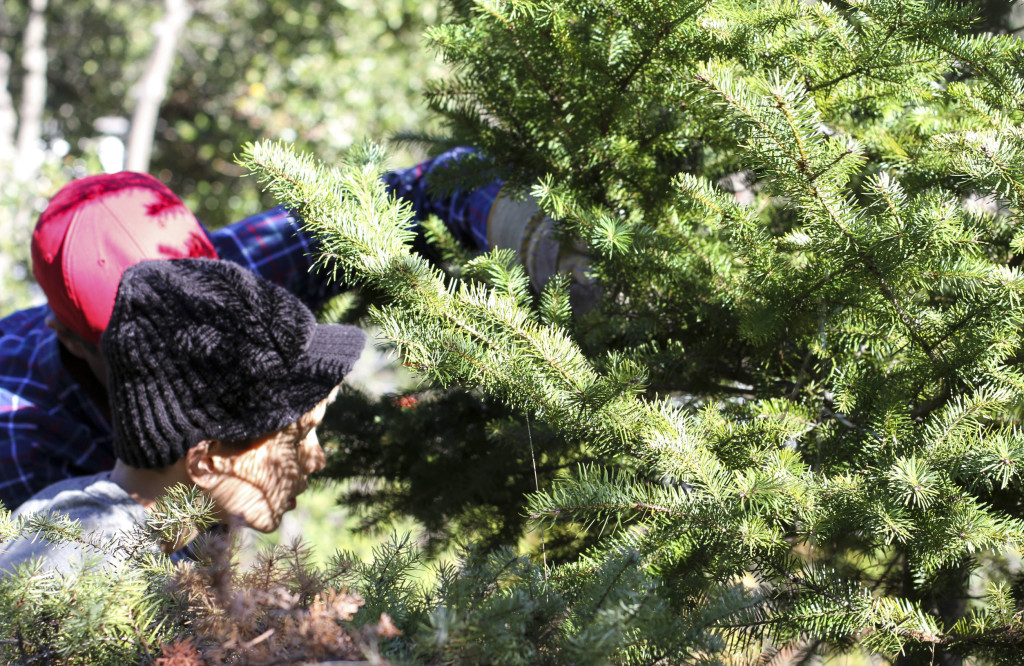 A Bowl Full of Simple | Christmas Tree Hunting