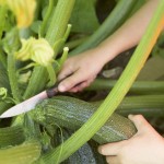 a bowl full of simple - zucchini